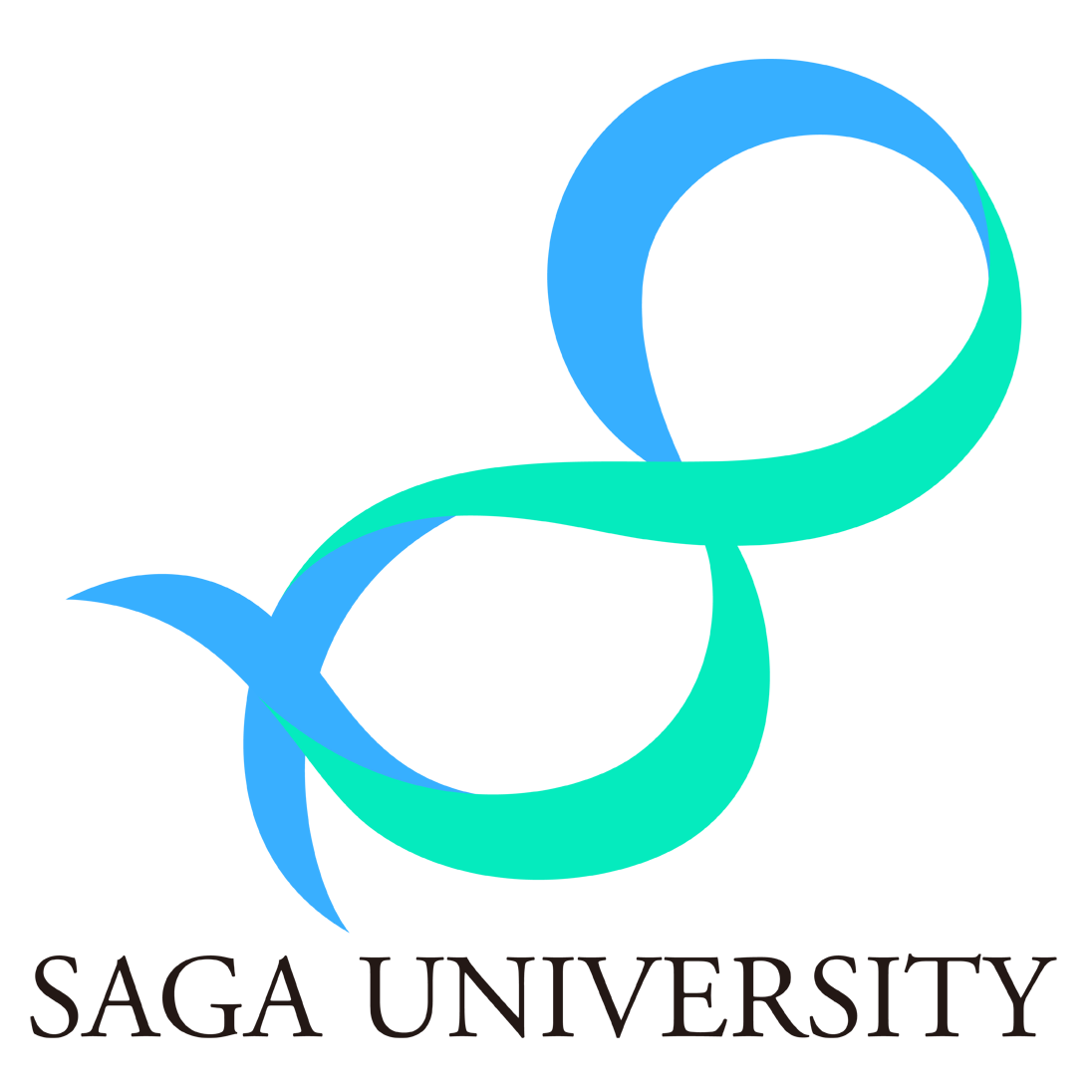 Intelligent Information Systems Course, Faculty of Science and Engineering, Saga University
